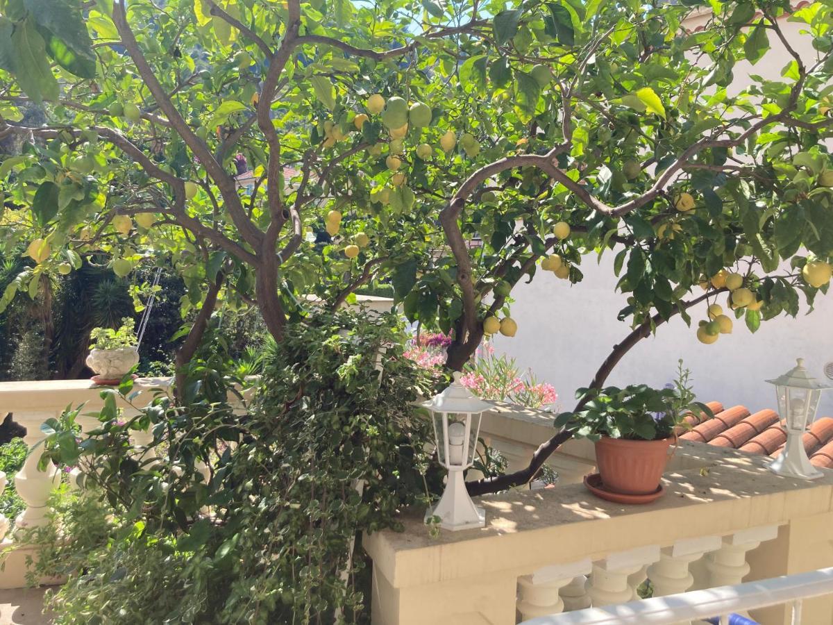 Studio Villa La Cigale Avec Grande Terrasse مينتون المظهر الخارجي الصورة